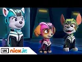 Download Lagu PAW Patrol | Jet to the Rescue: A Jet to the Rescue Briefing | Nick Jr. UK