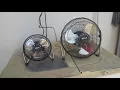 Black Sekai fans