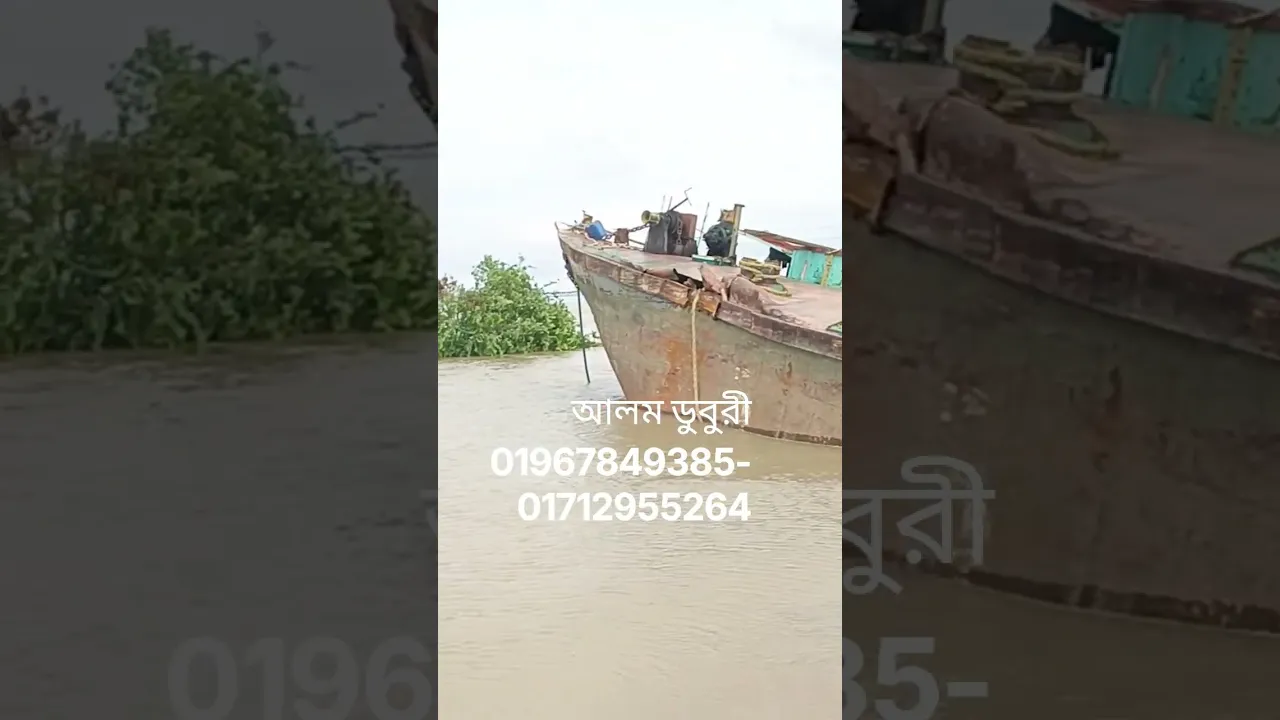 ডুবুরি