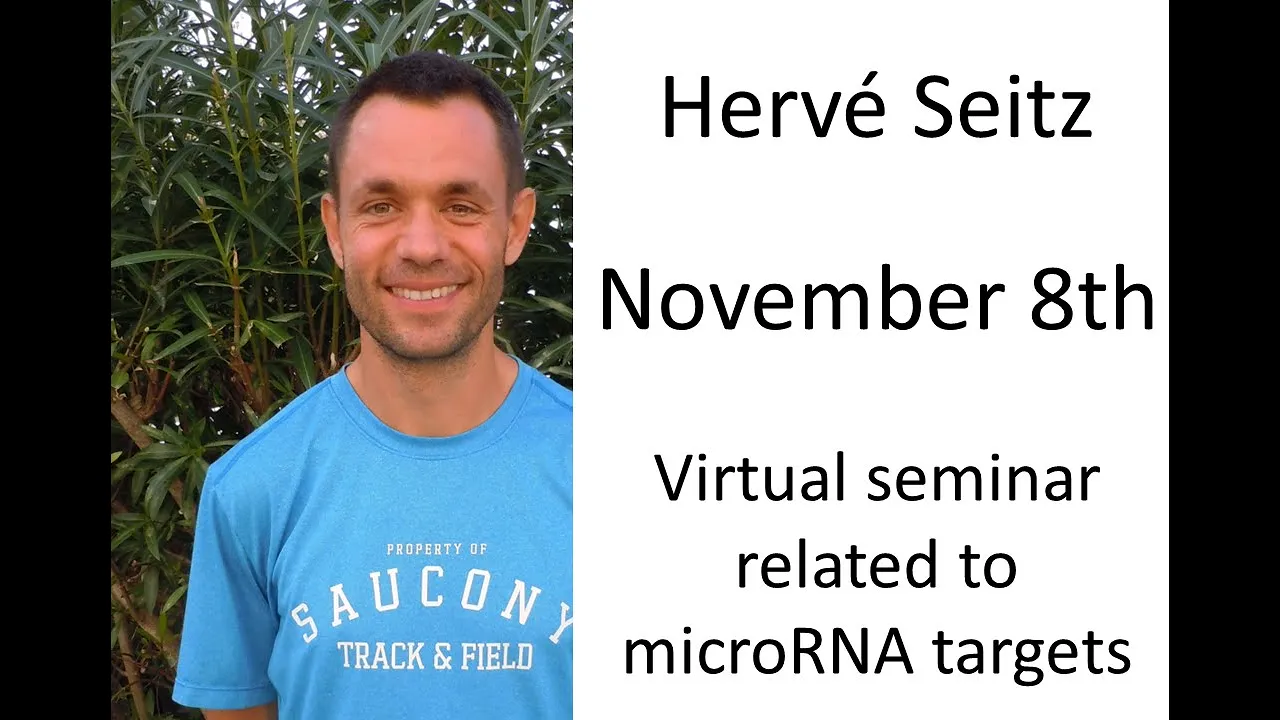 Hervé Seitz seminar about "functional microRNA targets", November 2021 (smallRNA-bioinformatics.eu)