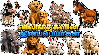 Animals and Their Young Ones | Animal Names & Baby Animals for Kids tamil and english @PRINIT1419