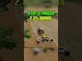 Perfect Yield In 7 Steps