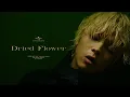 Download Lagu 【imase】Dried Flower（MV）