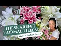 Best Roselily Varieties You Should Grow