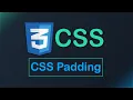 Padding in CSS Tutorial in