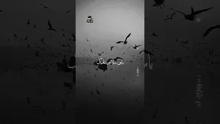 حالات واتس اب انستا اناشيد اسلامية يا نبي سلام عليك ماهر زين 