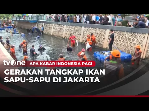Petugas Berjibaku Tangkap Ikan Sapu Sapu di Perairan Jakarta