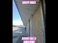 HARRY HINES DALLAS TX