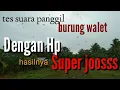 Download Lagu Suara panggil burung walet biru super joss original ( sp ini cocok utk areal pemukiman)