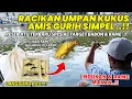 Download Lagu RACIKAN AMIS GURIH SPESIAL TARGET INDUK \u0026 IKAN RAME !! RESEP UMPAN KUKUS SIMPEL TERBARU ❗❗