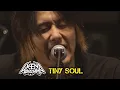 Download Lagu Ken Yokoyama - Tiny Soul (Live) MP3