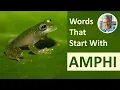 Prefix AMPHI What Does It Mean 3 Common Examples