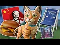 Download Lagu The Weird World of Foreign Warrior Cats Merch