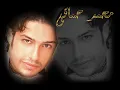حماقى 2010