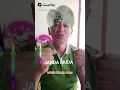 Lagu Pilih Janda Muda..... tapi nggak gairah