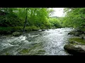 Mountain River Flowing Sounds Nature Sounds White Noise Flowing Water for Deep Sleep Relax