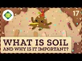 What is Soil and Why is it Important Crash Course Geography