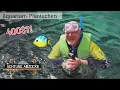 Download Lagu Bunte Fische und Korallen im Meer bestaunen? 🤿 Oder im Beton-\u0026 Plastik-Aquarium? | Achtung Abzocke