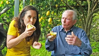 Download LEMON | How Does it Grow ITALY SPECIAL: sweet Amalfi lemons MP3