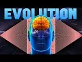 Evolution - Building A Better Neural Network Brain