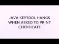 Java keytool hangs when asked to print certificate