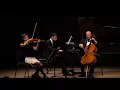 Chopin: Trio in G minor, op.8