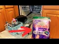What I Love About Cascade Platinum Plus Dishwasher Pods