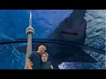 Toronto tour CN Tower Ripley s Aquarium of Canada