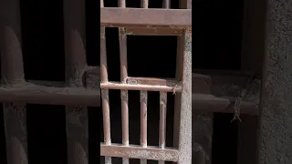 سجن في مصر قلعة صلاح الدين 