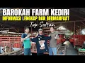 Download Lagu SULTAN KEDIRI❗Dr. TOPAN BAROKAH FARM JAWA TIMUR