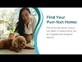 Pet Friendly Apartments for Rent in Alexandria VA with Dog Park Cityside Huntington Metro