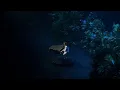 Julien Doré live in Paris (Bercy AccorArena) - April 5 2025 - Sublime & Silence
