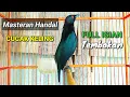 Download Lagu Masteran cucak keling gacor full isian