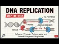 DNA Replication Step-by-Step Helicase Primase Polymerases and Okazaki Fragments