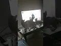Download Lagu AMALAN 7 JALUR LANGIT ! KUCING KATA MADAM