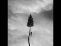 The Sunshine - Manchester Orchestra