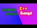 c sinhalen data type variable practical 6