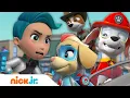 Download Lagu PAW Patrol Are All Paws on Deck to Rescue Adventure Bay! w/ Marshall, Mighty Twins \u0026 MORE | Nick Jr. MP3