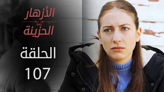 مسلسل الأزهار الحزينة الحلقة 107 الموسم الأول 