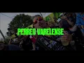 PERREO VARELENSE ( Trucho Remix ) - Perro Primo, El Noba - GENIO MIX 🎵
