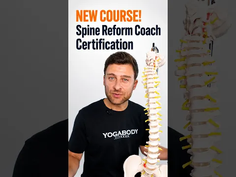 Get Certified: Spine Reform Coach Training