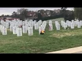 Veteran s Cemetery In Salisbury N C