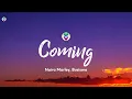 Naira Marley, Busiswa - Coming (Lyrics)