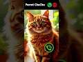 Download Lagu Cat calling 😎 #ringtone #smartphone #music #ringtones #song #cat #ringintone #catlovers #funny