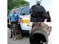 Union County - K9 Officer Lorcan Memorial Service