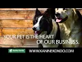 Pet Services in Helena MT details at YellowPages com