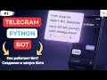 Build a Telegram Bot from Scratch with Python Aiogram 3 in 15 Minutes
