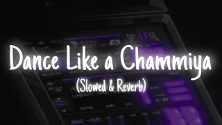 Download Dance Like a Chammiya (Slowed \u0026 Reverb) MP3