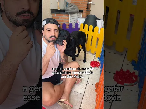 PRECISAMOS DE TODOS VOCÊS AGORA #pets #cachorros #resgatedeanimais #cachorroperdido #abandono