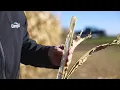 How Cargill Helps Feed the World Inside the Global Food System